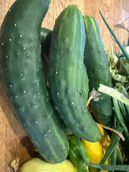 Photo of free Fresh organic vegetables (Fair Lawn, NJ) #2