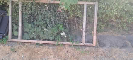 Photo of free Catio avery panel (Sheldon B26) #1