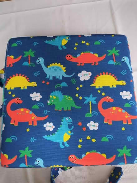 Photo of free Booster cushion (Seaford BN25) #1