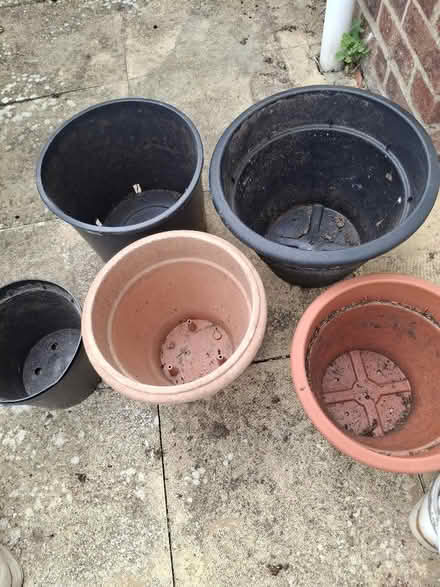 Photo of free Plant pots (Witham CM8) #2