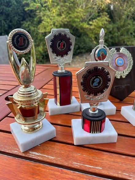 Photo of free Trophies (Chilton OX11) #2