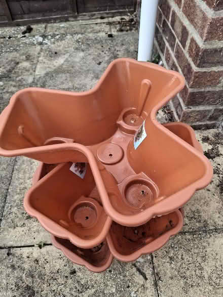 Photo of free Plant pots (Witham CM8) #3