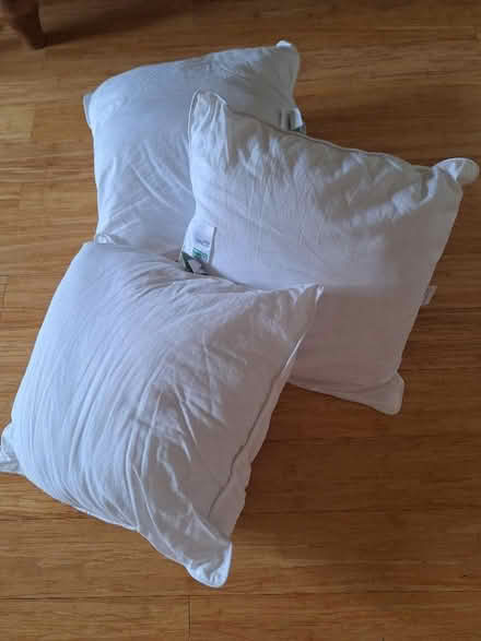 Photo of free 3 new cushion inners (Chalford Hill GL6) #1