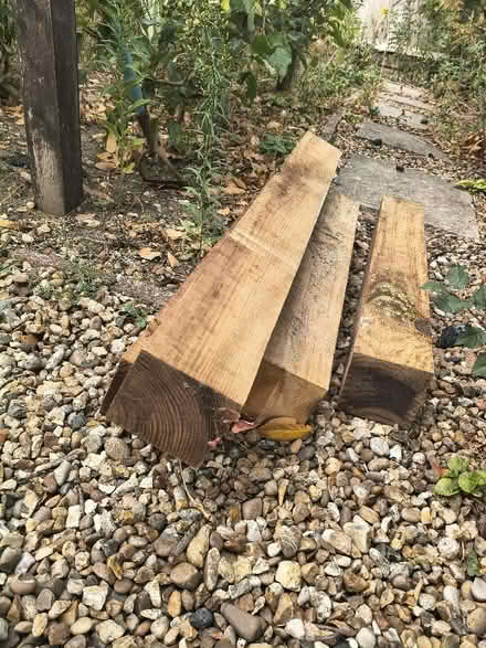 Photo of Wood posts 40 cm or more (Catton NR6) #1