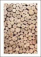 Photo of free Logs (Kettlethorpe WF2) #1