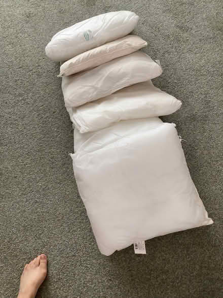 Photo of free Cushion pads (Bexleyheath DA6) #1