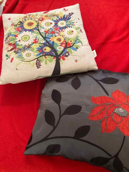 Photo of free Cushions (Willingdon BN22) #1