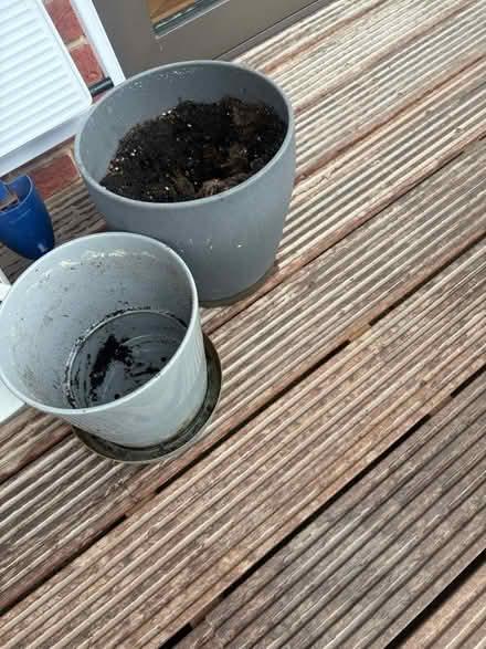 Photo of free Pots (Nine Elms) #3