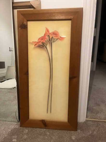 Photo of free Curtains/lamps/picture (Dun Laoghaire) #2
