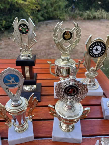 Photo of free Trophies (Chilton OX11) #4