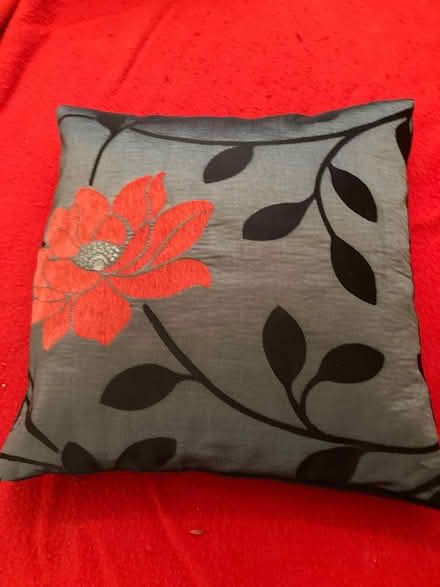 Photo of free Cushions (Willingdon BN22) #2