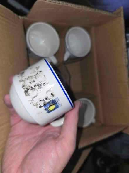 Photo of free Cappuccino cups (Carshalton SM1) #2