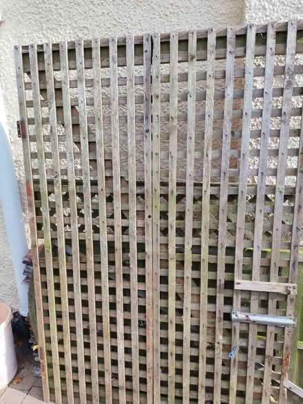 Photo of free Trellis (Greasby CH49) #1