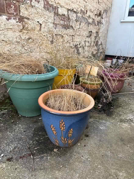 Photo of free Various garden tubs (Crosby Liverpool) #1