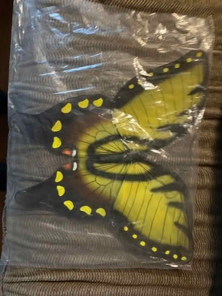 Photo of free Butterfly wings...for costume use (Oakland Piedmont Ave) #2