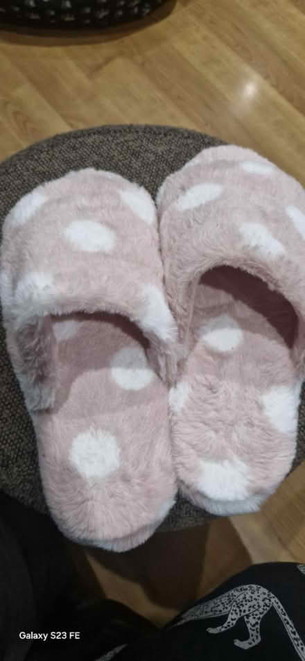 Photo of free Slippers (GU15 camberley) #1