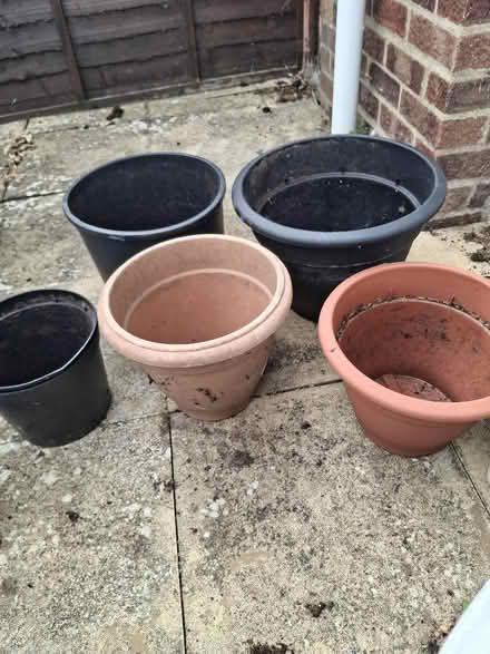 Photo of free Plant pots (Witham CM8) #1