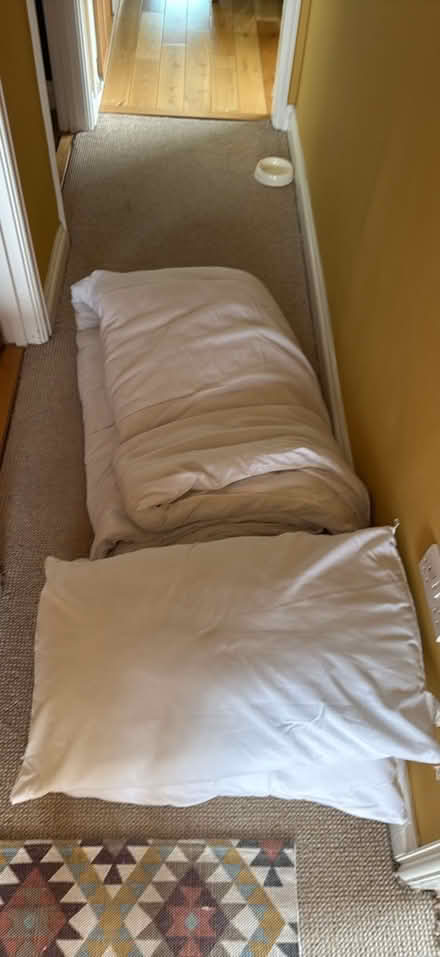 Photo of free King size duvet and 4 x pillows (Earls Colne CO6) #1