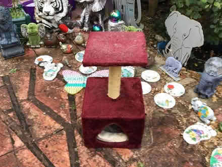 Photo of free Square cat bed (Farnborough Hampshire GU14) #2
