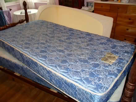 Photo of free Twin mattress, bassinet, cat items (Rohrersville) #2
