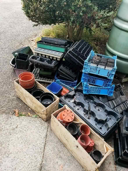 Photo of free Plastic plant pots and seed trays various sizes and colours (Leatherhead KT22) #1