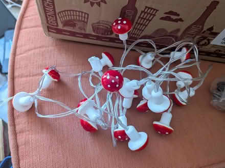 Photo of free Mushroom fairy lights (St Pauls BS2) #1