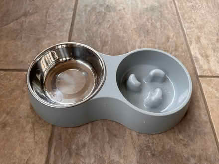 Photo of free Go slow puppy / dog bowl (Ashover, S45) #2