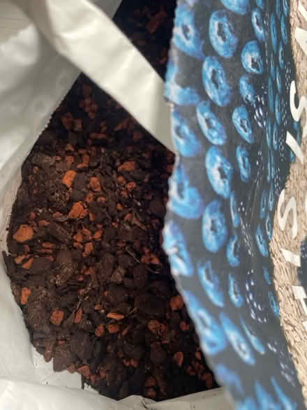 Photo of free Potting mix for orchids (Kelvindale G12) #1