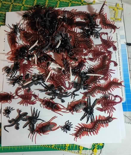 Photo of free Fake creepy, crawly bugs (W section, Bowie) #1