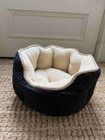 Photo of free Cat bed & cat 'cave' (Pollokshields, G41) #1