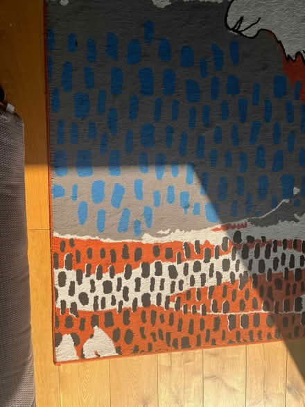 Photo of free IKEA Moborg rug 233cm x 160cm (Chiswick W4) #3