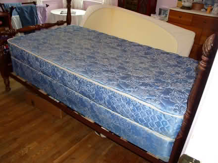 Photo of free Twin mattress, bassinet, cat items (Rohrersville) #1
