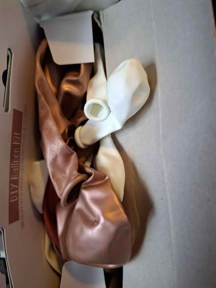 Photo of free Balloon Decoration Kit (Locks Heath SO31) #2