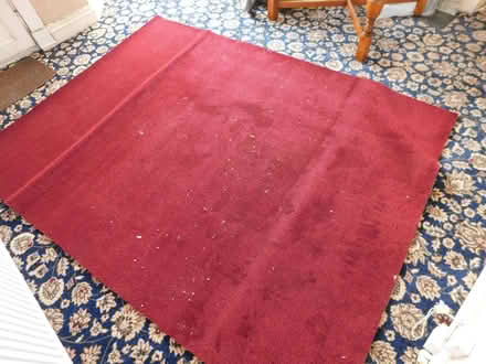 Photo of free New Carpet Offcut. (Grays RM17) #1
