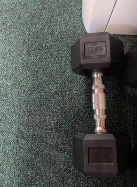 Photo of free 8 KG dumbbell (Barming, Maidstone) #1