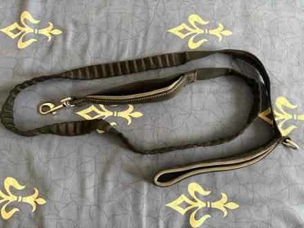 Photo of free Dog lead (Longport CT1) #1