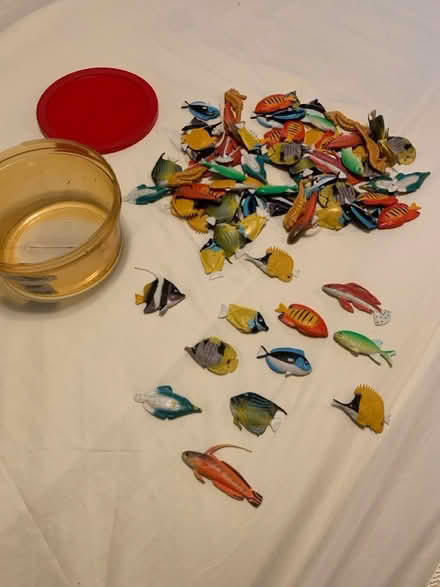 Photo of free Rubber Fish (Park Forest IL) #2
