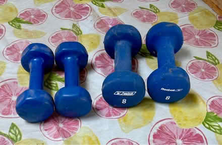 Photo of free 5 and 8 pound weights (NE Arvada) #1