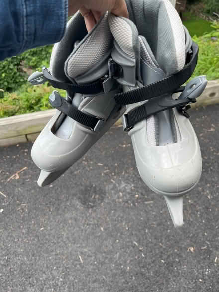 Photo of free Skates (Multiple) #1