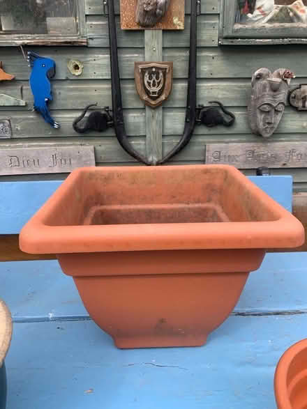 Photo of free Plant pots (Presteigne LD8) #4