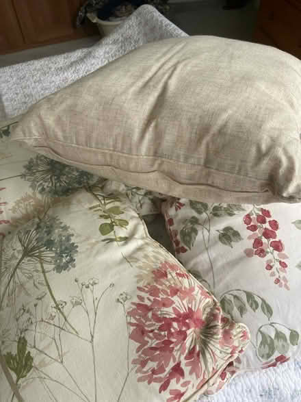 Photo of free Various cushions (Loose, Maidstone ME15) #4