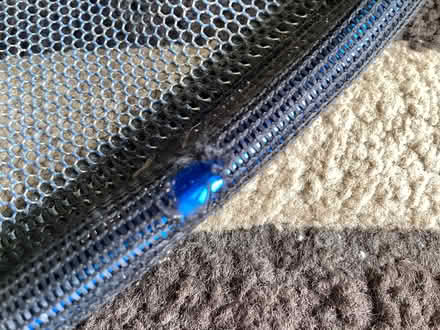 Photo of free Fishing landing net (Forest Hill OX33) #3