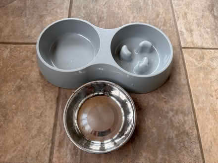 Photo of free Go slow puppy / dog bowl (Ashover, S45) #1