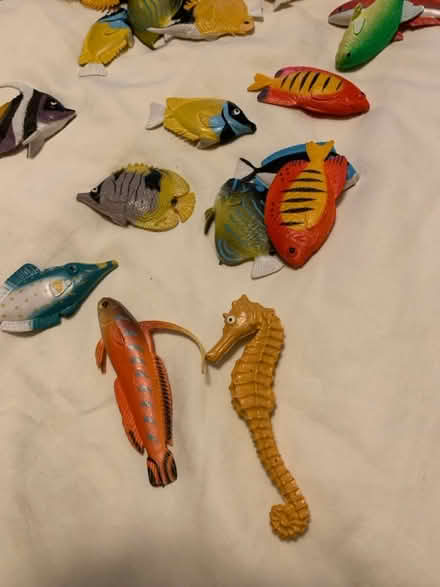 Photo of free Rubber Fish (Park Forest IL) #1