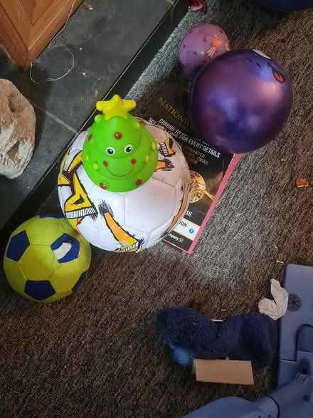 Photo of free Furry Toys Footballs Toys For Dogs (Portadown Craigavon) #4