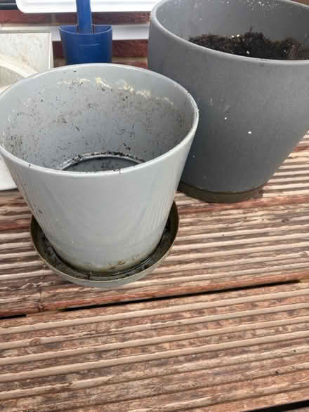Photo of free Pots (Nine Elms) #2