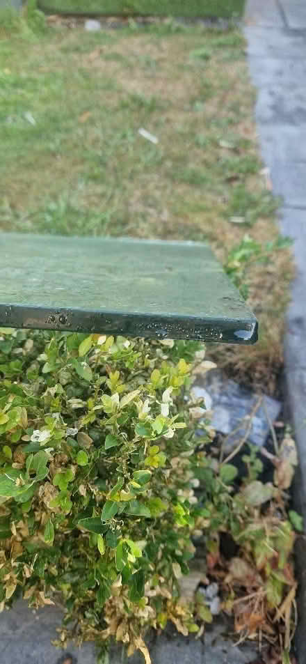 Photo of free Large glass table top (Fox Hill S6) #2