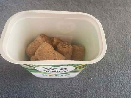 Photo of free One pot of 15 corks (St Leonards Green TN38) #1