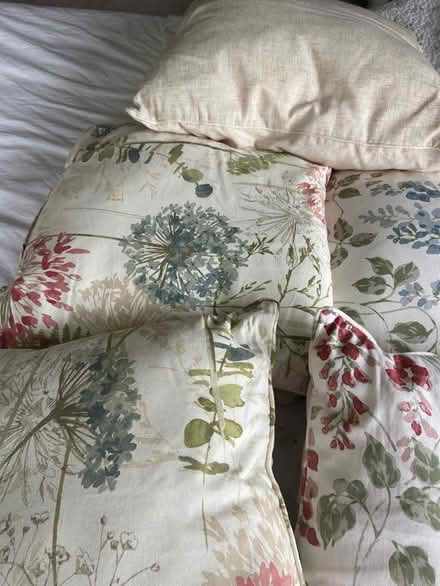Photo of free Various cushions (Loose, Maidstone ME15) #2