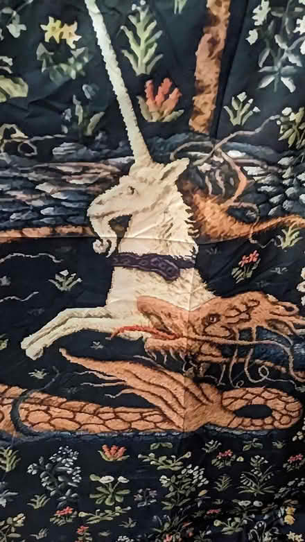 Photo of free Weird Unicorn Duvet Cover (Leimert Park) #2